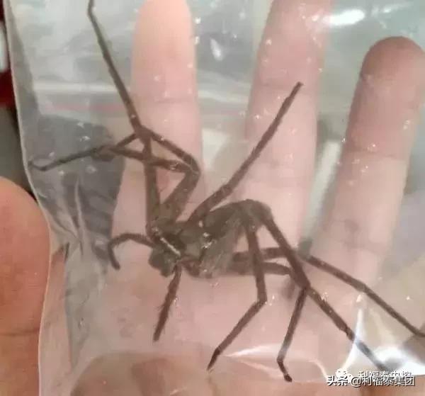 第1474页