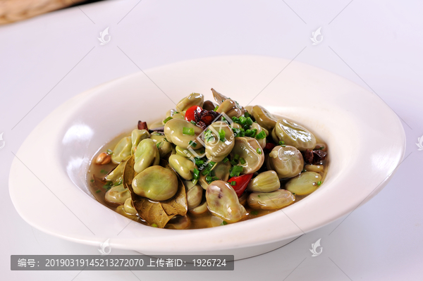 娱乐生活 第240页