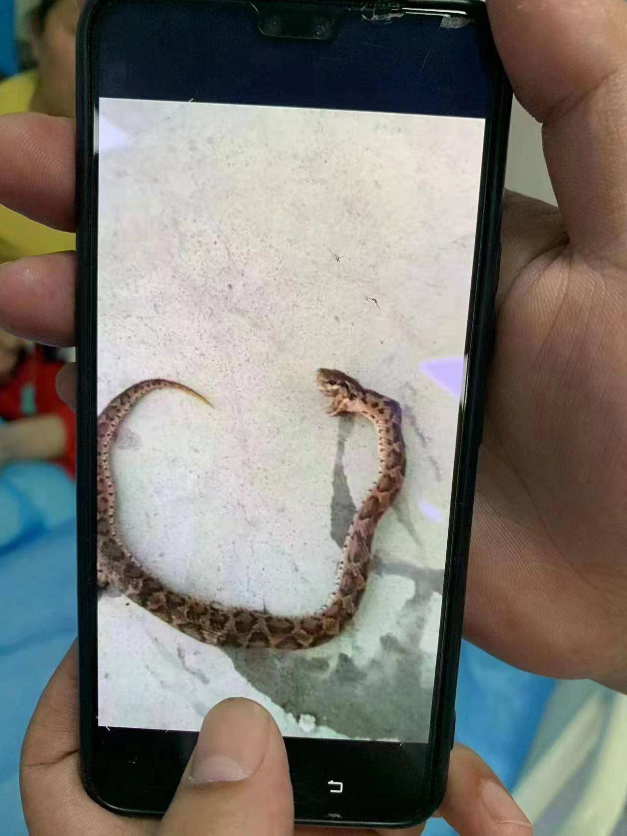 最新资讯